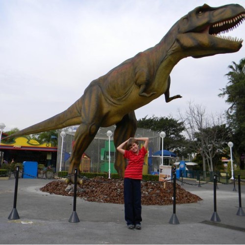 Waterproof sunscreen playground life size real jurassic park Animatronic Dinosaur T-rex for sale