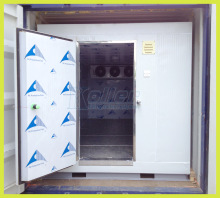 Containerized Cold Storaged Room