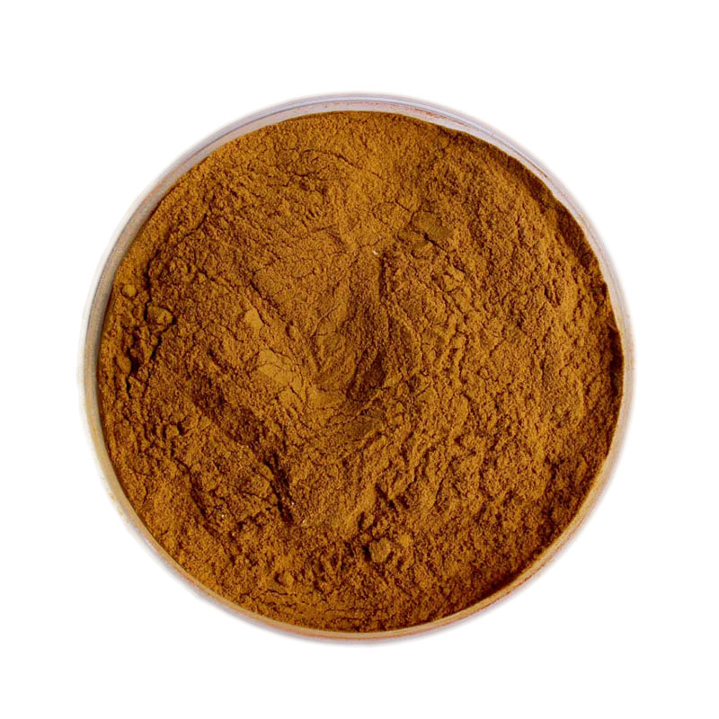 Cinnamon Polyphenols