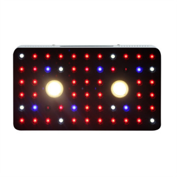 COB LED Grow Light Pflanzenwachstumslampe für den Innenbereich