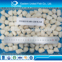 wild wholesale health frozen pork meat