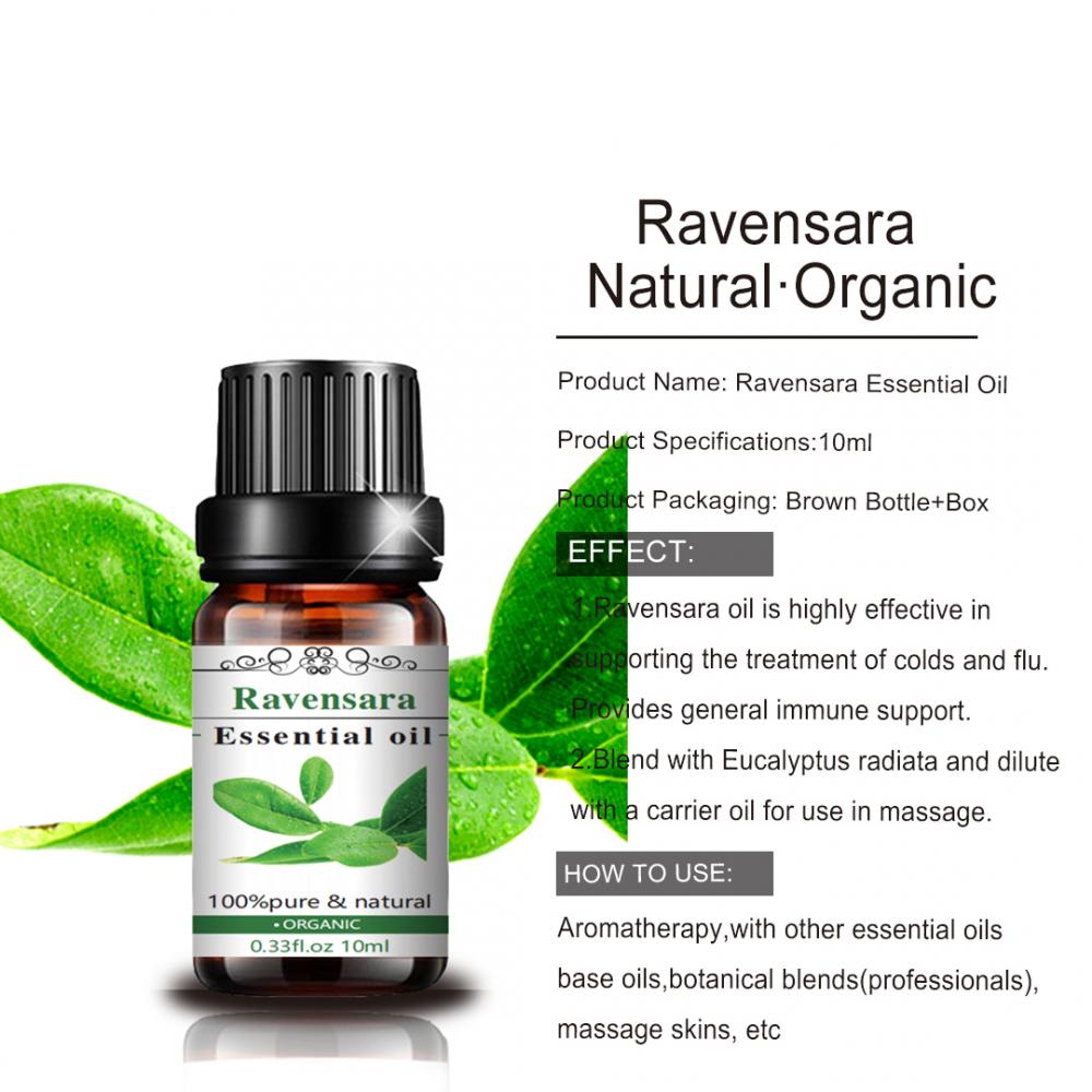 10ml Ravensara 에센셜 오일 자연 오일 아로마 테라피 최고 등급 자연 Ravensara Oil