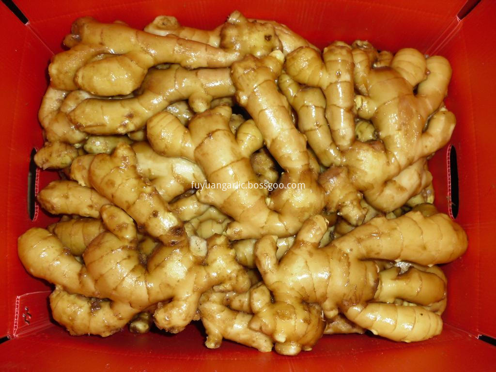 fresh ginger 100g and up 