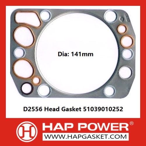 D2556 Head Gasket 51039010252