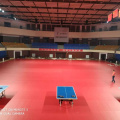 Противоскользящий коврик для настольного тенниса из ПВХ с ITTF