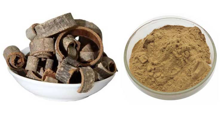 Magnolia-Officinalis-Extract1