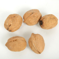 Grado superior de nueces con cáscara