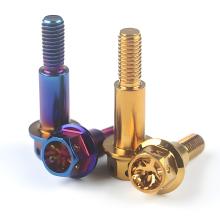Customized Processing Titanium Flange Head Hex Bolt