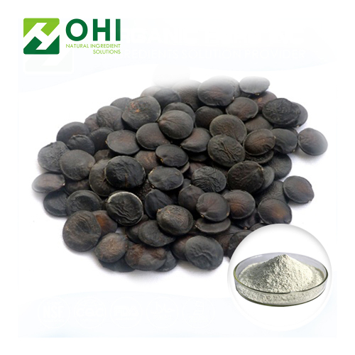 Bột chiết xuất Griffonia simplicifolia 5 htp