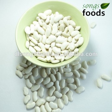 White Beans / Navy White Kidney Beans / Kidney Beans