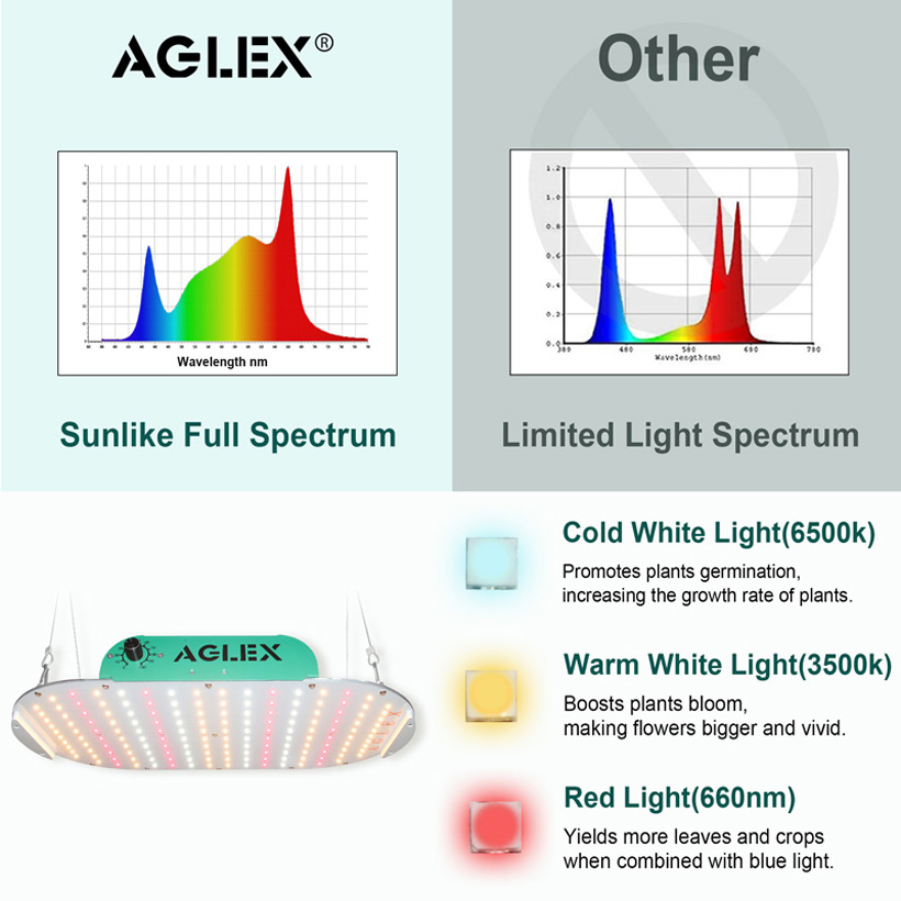 온실 공장 성장을위한 훌륭한 LED 조명 1000W