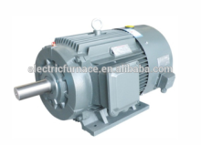 premium efficiency permanent magnetic variable frequency typ electric motor