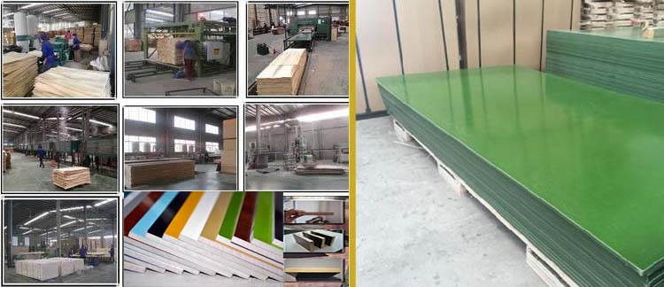 Green 48 hour boiling water proof with pp layer plywood/ Phenolic plastic faced plywood