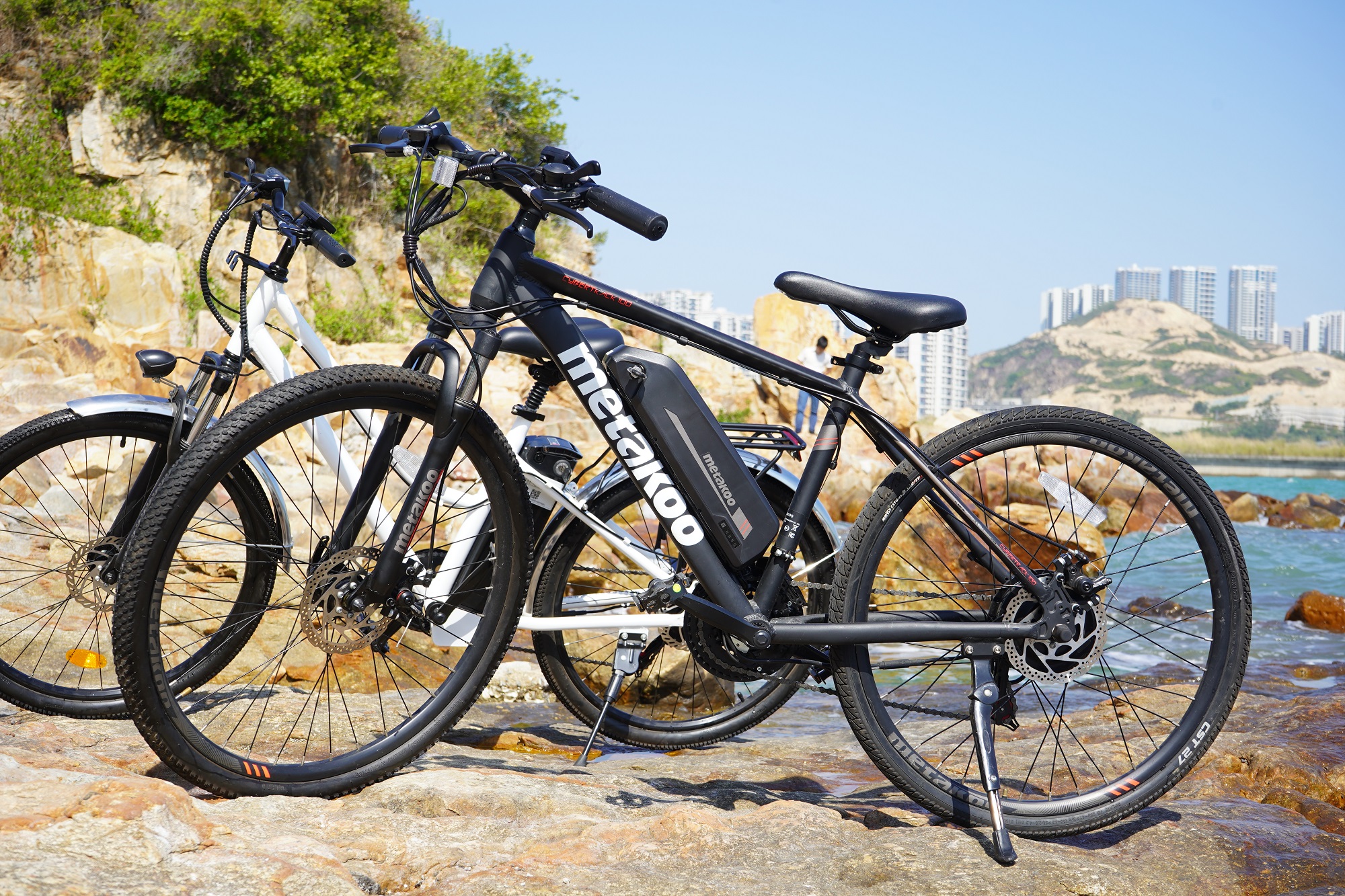 2022 Long range central motor 36V 350W electric mountain bike trek wholesale full suspension Electric Bike
