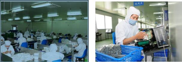 jahitan yang bisa diserap absorbable suture