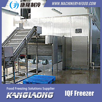 Good Quality IQF Frozen Eggplant Industrial Freezer With Low Price