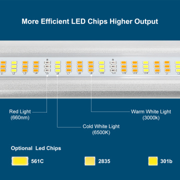 Grande planta LED de cultivador de estejas Greenhouse.