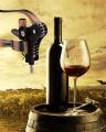 Vine Bottle Rabbit Ear Wine Opener