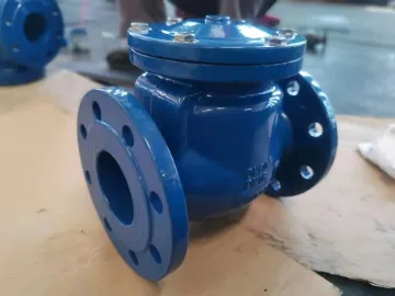 Ductile Iron Cast Iron Flanged Swing Check Valve