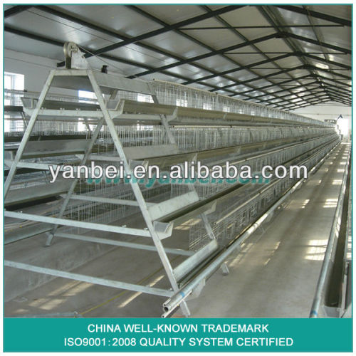 9LDT series A-type Hot Galvanized Layer Coop