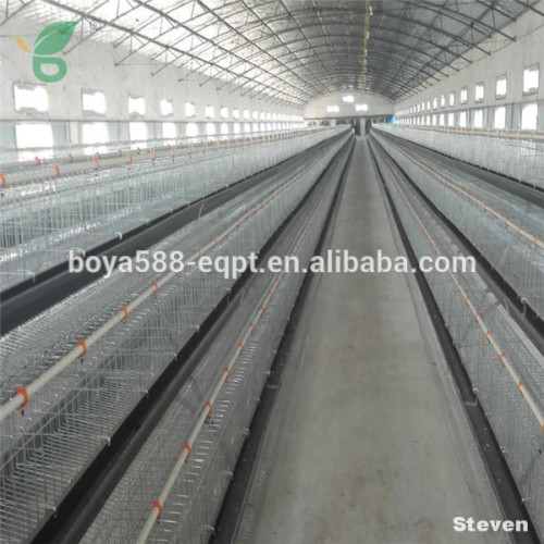 Poultry cage/chicken layer cage /quail cage for sale