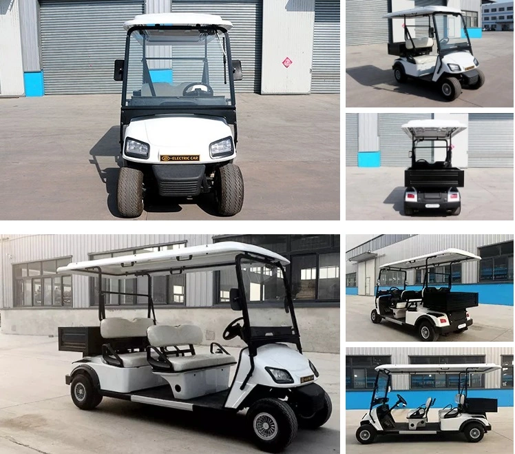 Cheap Electric Small Golf Carts 4 Persons Sliver Color