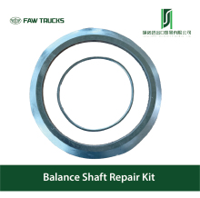 Balance Shaft Repair Kit