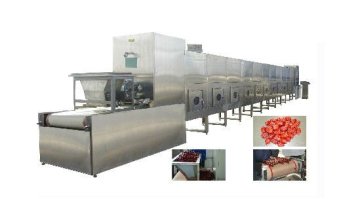 Microwave Sterilizing and Drying Machine