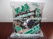 black Block fungi with white back 1