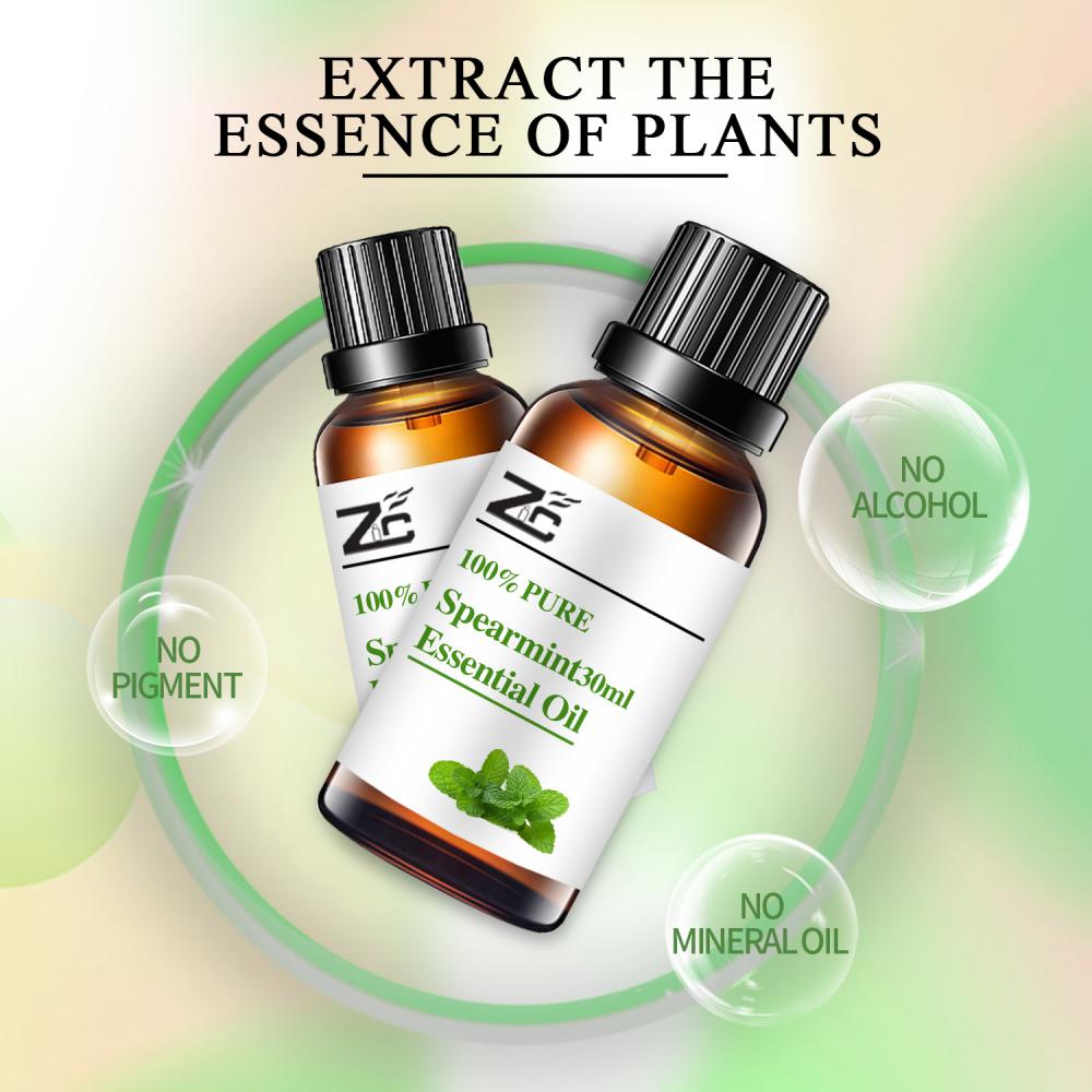 SpearMint Oil esencial Natural