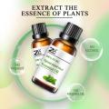 SpearMint Oil esencial Natural