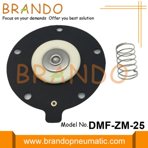 DMF-ZM-25 Vanne à membrane à impulsion à montage rapide 1 &#39;&#39; BFEC