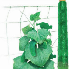UV treated cucumber knotless trellis netting