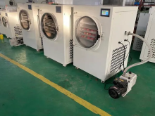 Home Machine Household Vacuum Lyophilizer