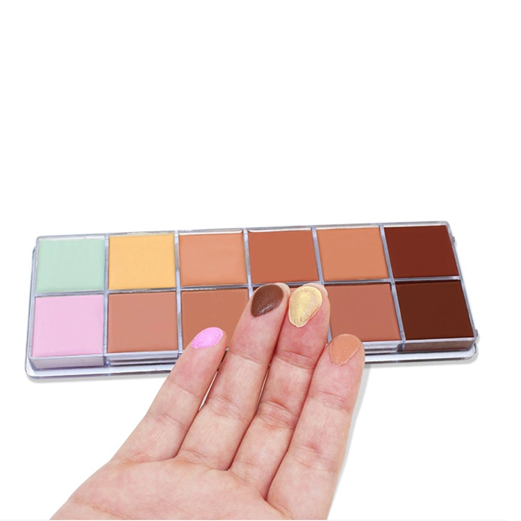 PRO Concealer Makeup 12 Color Full Coverage Concealer Private Label Concealer Pallete Makeup
