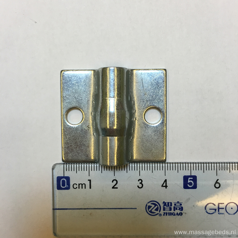 Stainless Steel 304/316 Industrial Door Truck Hinge