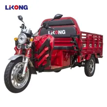 Lilong 1200W Affordable Three-Wheel Cargo Motor Tricycle