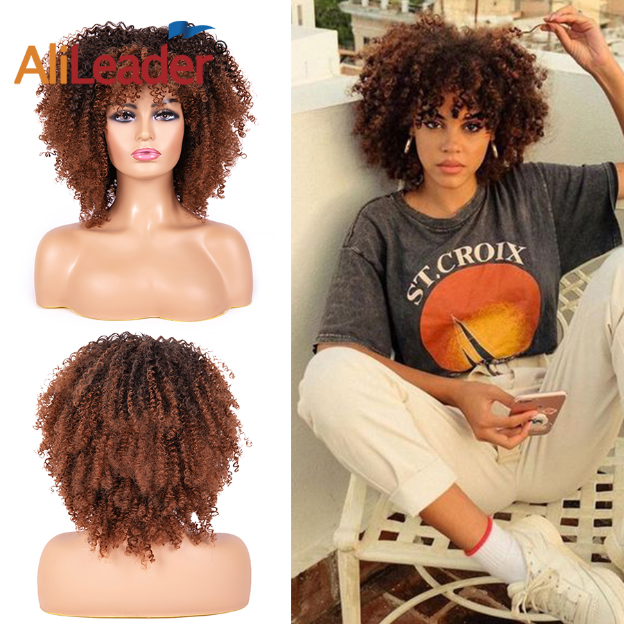 Afro Kinky Curly Synthetic Short Hair Wig