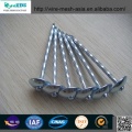 Umbrella Head Roofing Nails Twisted Shank