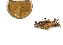 Best Price Cordycepin Cordyceps Sinensis Extract Powder
