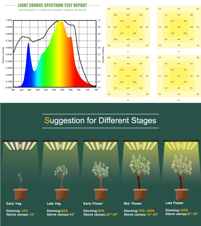 LED grow light for strawberry