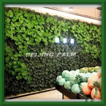 Artificial plant wall for fruit shop