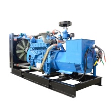 Hot Sale 250kw Wood Electric Generator: Plans and Price