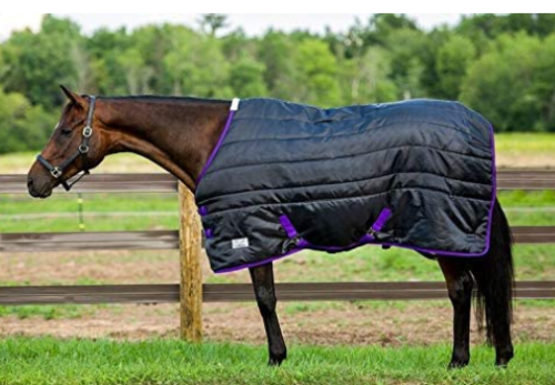 Cobertor estável de komfort para cavalo