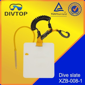 Teaching diving write board underwater
