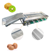 304 Stainless Steel Onion Grading and Size Sorting Machine Price