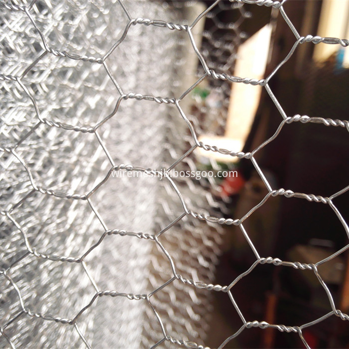 Hexagonal Wire Fencing