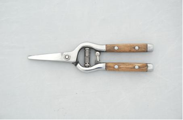 Tree branches pruning tools