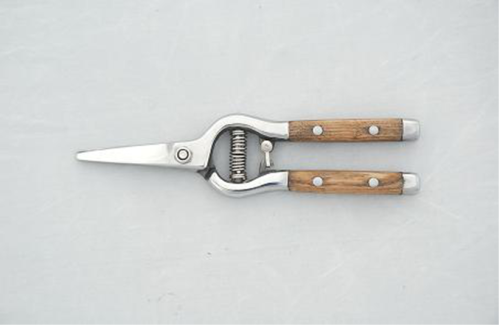 Tree branches pruning tools