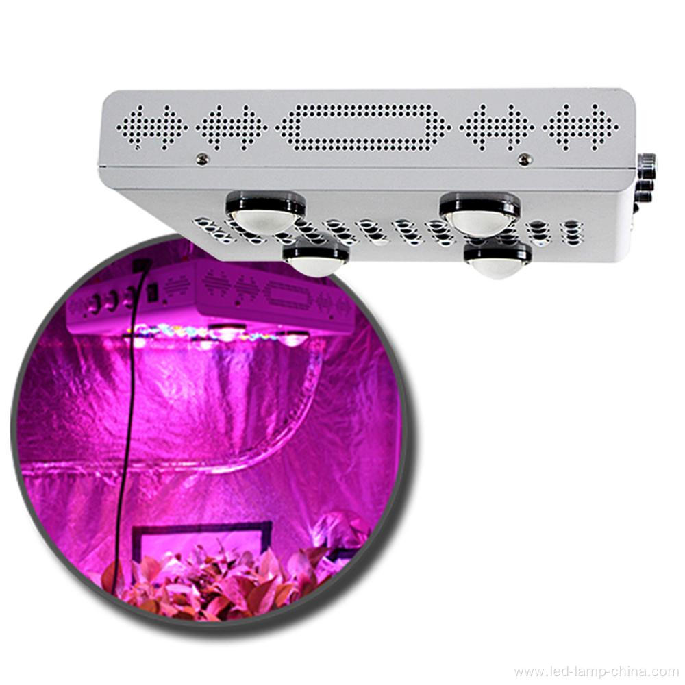 Greenhouse  Indoor Grow LED Light